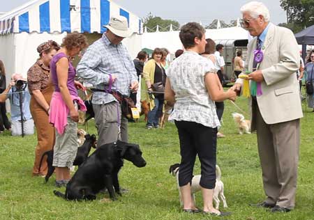 Man presenting a prize to a woman at a dog show, both standing beside competing dogs in a friendly show field setting